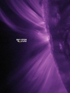 החמה היפה והקטלנית. זוהר שמשי שהתחיל בתחילת השנה, והצילומים...