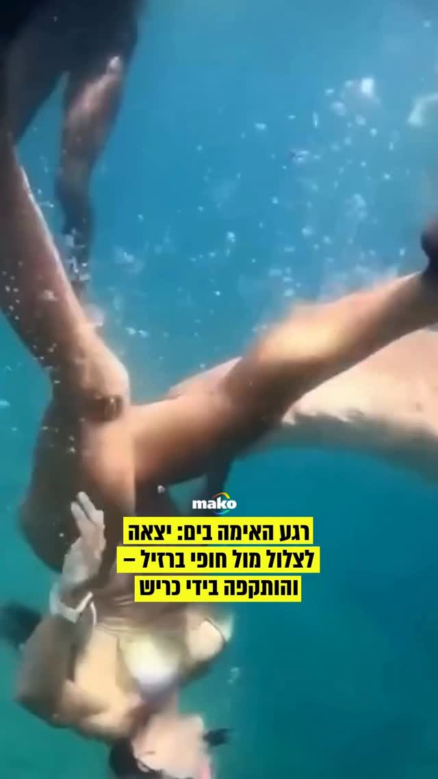 טיאנה דלאזן, עורכת דין בת 36, ננשכה בידי כריש בזמן שצללה עם...