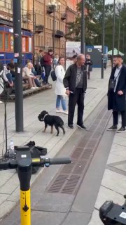 תפקיד הכי חשוב בלהקה! ☝️🏻🔥 