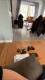 אקרובט! 🐶🏆🤣...