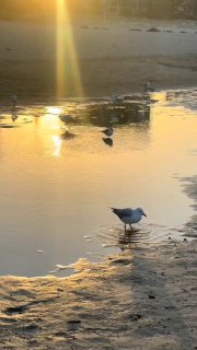 ואי ואי! איך הוא מרגיש את הקצב! 🔥😁😁...