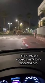 בינתיים באור יהודה...