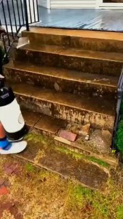 המקצוענים! 🔥🏆😎...