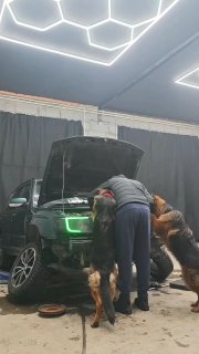 צוות טכני בפעולה! 🔧🪛🤣 