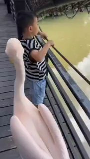 אל תתנו לילדים להתקרב לבעלי חיים 🐔...