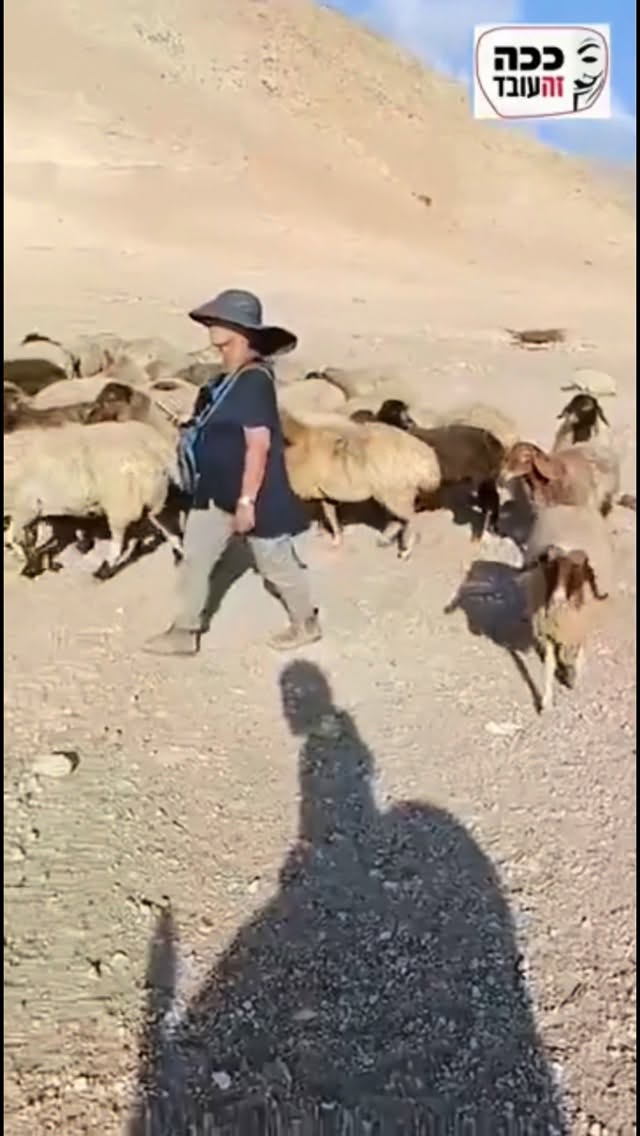 Roi Star נותן את האמת בפני קפלניסטים, שמאלנים, עוכרי ישראל ועוד......