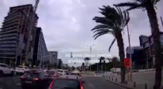 סמי עופר. נפילת עץ...