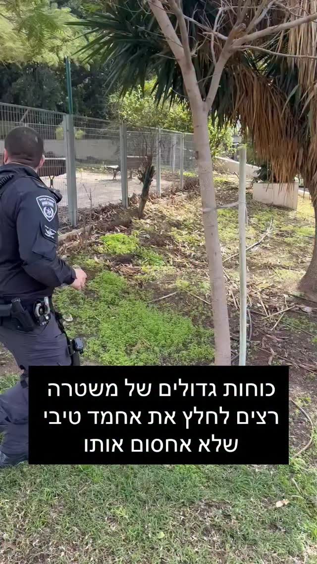 מרדכי דוד...