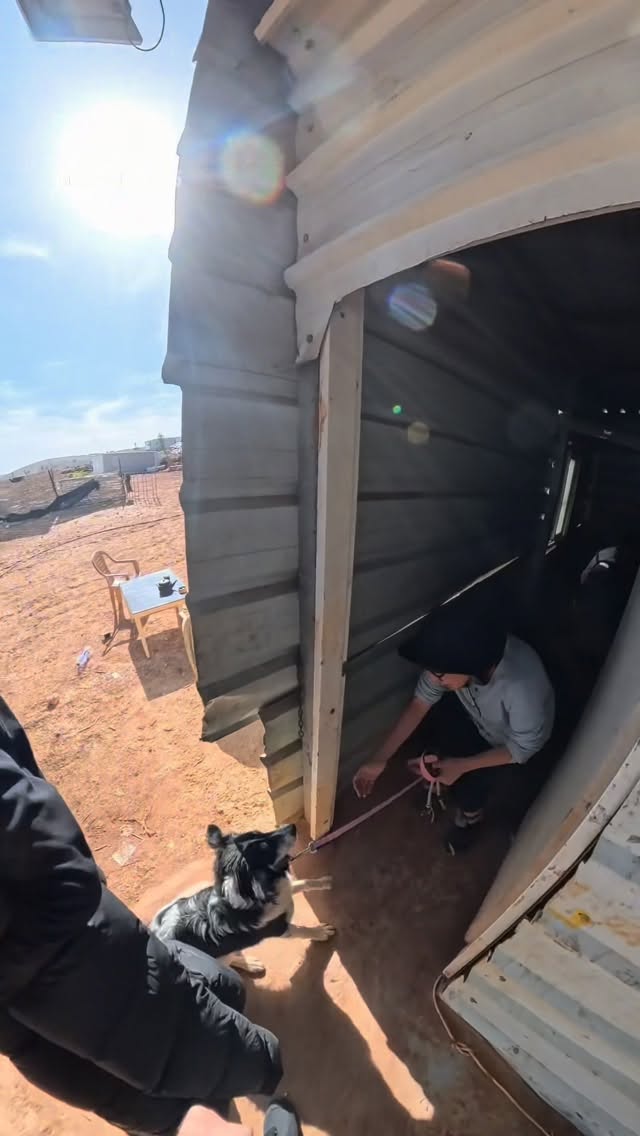 Roi Star נותן את האמת בפני קפלניסטים, שמאלנים, עוכרי ישראל ועוד......