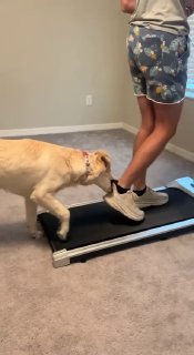 מאמן אישי 😆...