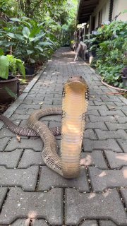 אה, אני חושב שאני אעזוב פה 😅...