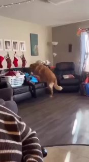 הם זרקו פה הכל, אין איפה לשכב 😂...