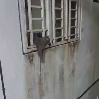 אהבה למרחקים ארוכים 😁...