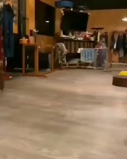 אה, מה אתה עושה כאן? 😄...