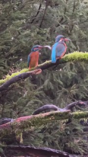 נעלבתם?.. 🥲...