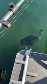 העיניים האלה 😍...