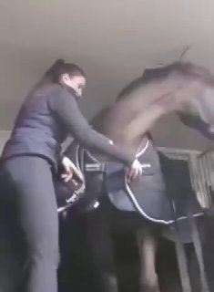 מיד ברור שזו לא הפעם הראשונה שזה קורה 😅...