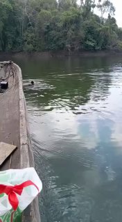 מדריך מקומי 🐵...