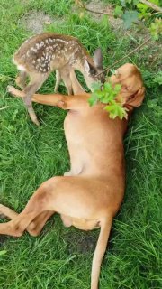 החברים הכי טובים....