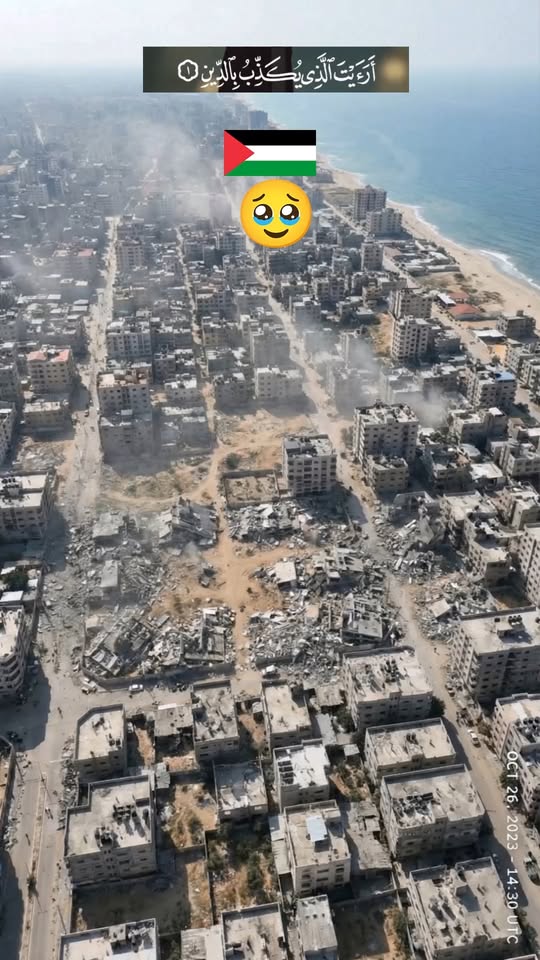 עזה תקום שוב 🥹 בנייה מחדש של התקווה לבנה אחר לבנה...