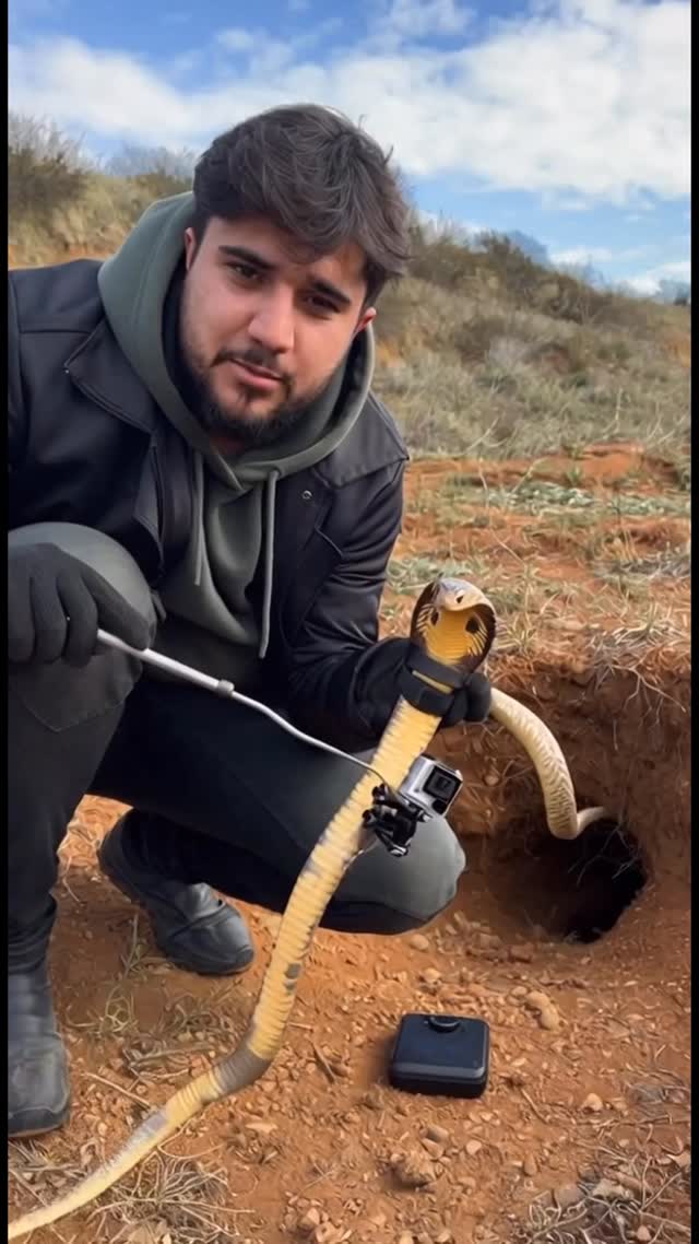 מאורה של נחש קוברה 🐍...