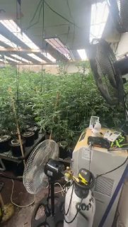 דוברות המשטרה:...