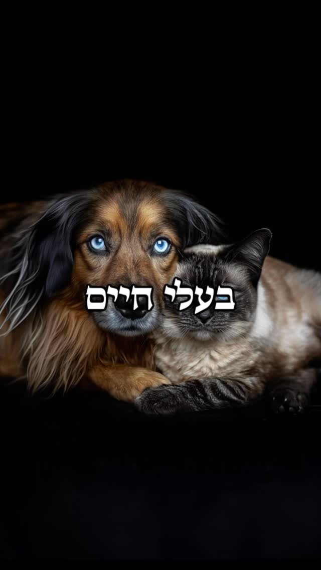 אהבה תמיד נמדדת במעשים ❤️...