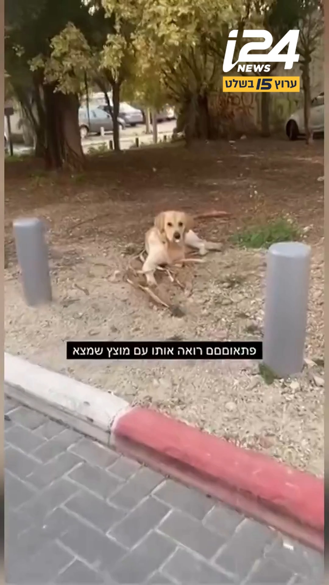 ⁨ ⁨ ⁨הם לא מודעים לכך שיש להם מאות אלפי עוקבים ברשתות...