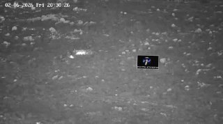 אליה אביב:...