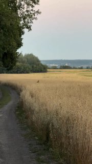 קטן קטן אך צייד! 😎😁...