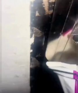 כששכחת לקנות מזון חתולים! 😅🤣🤣...