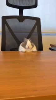 כשהגעת ראשון לישיבה! 😁😁😁...