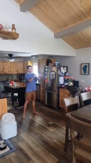 חתול אולימפי! 🥇😅😁...