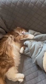 אהלן חברים! מי כבר ער? ☀️❤️🇮🇱...