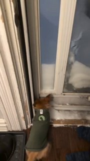 המזג אוויר לא מתאים לטיולים... 😅...