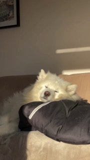 ערב טוב לכולנו חברים! 🙏🏻❤️🇮🇱...