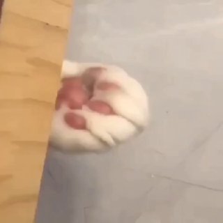 שוחד! 🤣🤣🤣...