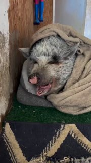 ערב טוב חברים נתראה מחר! 🙏🏻❤️🇮🇱...