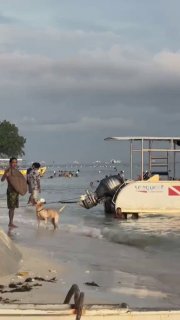 בוקר אור חברים ויום טוב לכולנו! ☀️❤️🇮🇱...