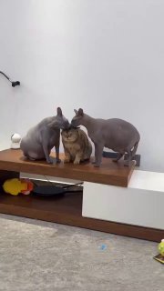 העניינים התחממו! ❤️😅🤣...