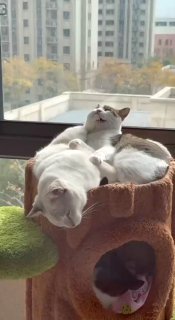 בוקר אור חברים קדימה להתעורר! ☀️❤️🇮🇱...