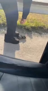 לא צפוי! 😅🤣...