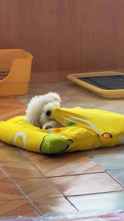 לילה טוב לכולנו חברים! 🙏🏻❤️🇮🇱...