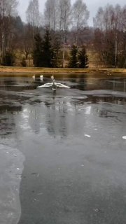 בוקר טוב חברים! מוכנים ליציאה? ☀️❤️🇮🇱...