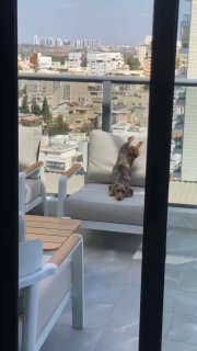 סיימנו את יום חמישי! ערב טוב חברים! 🙏🏻❤️🇮🇱...