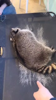 בוקר טוב חברים! ☀️❤️🇮🇱...