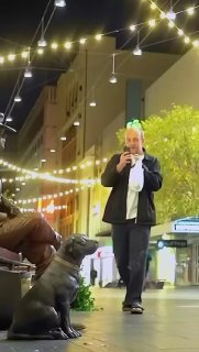 אל תתחילו עם פסלים 😂...