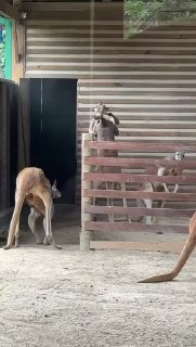 עוד יום שגרתי...