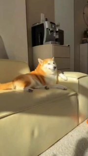 על הספה יושב חבר, שמדבר אליך בלי לומר אף מילה....