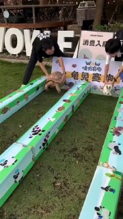 לצפות עד הסוף!...